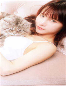 《小猪佩奇过大年 粤语版》