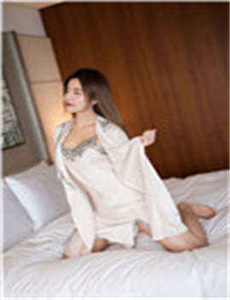 《会长是女仆大人4》